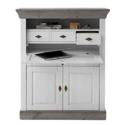 Secrétaire Bergen -Promos Meubles Boutique 1000104455 211122 08321901203 DETAILS P000000001000104455