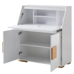 Secrétaire Deanes -Promos Meubles Boutique 1000170727 200925 11015600014 DETAILS P000000001000170727