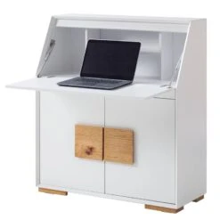 Secrétaire Deanes -Promos Meubles Boutique 1000170727 200925 11015900019 DETAILS P000000001000170727