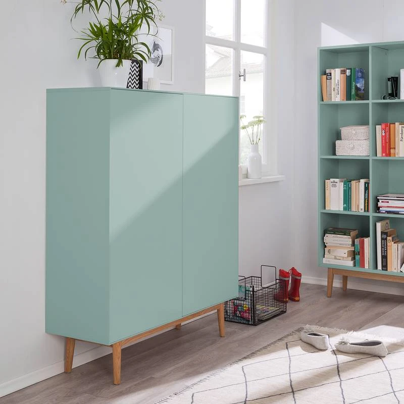 Meuble à Chaussures LINDHOLM - 2 Portes 4 Meuble à Chaussures LINDHOLM - 2 Portes – Image 2