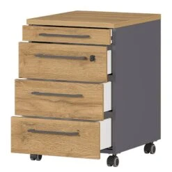 Caisson à Roulettes GW-Agenda 18 Caisson à Roulettes GW-Agenda -Promos Meubles Boutique 1000210641 200408 14212600033 DETAILS P000000001000210641