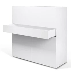 Secrétaire Focus 41 Secrétaire Focus -Promos Meubles Boutique 1000214070 200527 06065600196 DETAILS P000000001000214070