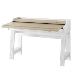 Secrétaire Jasmund -Promos Meubles Boutique 1000245013 210504 06312600162 DETAILS P000000001000245013