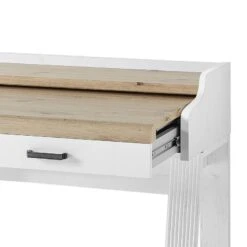 Secrétaire Jasmund -Promos Meubles Boutique 1000245013 210504 06312700169 DETAILS P000000001000245013