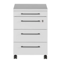 Caisson à Roulettes GW-Agenda 25 Caisson à Roulettes GW-Agenda -Promos Meubles Boutique 1000307863 211109 16163800079 DETAILS P000000001000307863