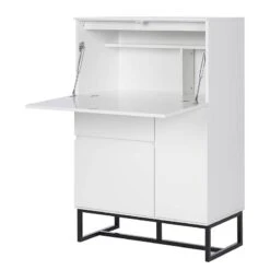 Secrétaire Zaddy 29 Secrétaire Zaddy -Promos Meubles Boutique 1000315318 230331 030 DETAILS P000000001000315318