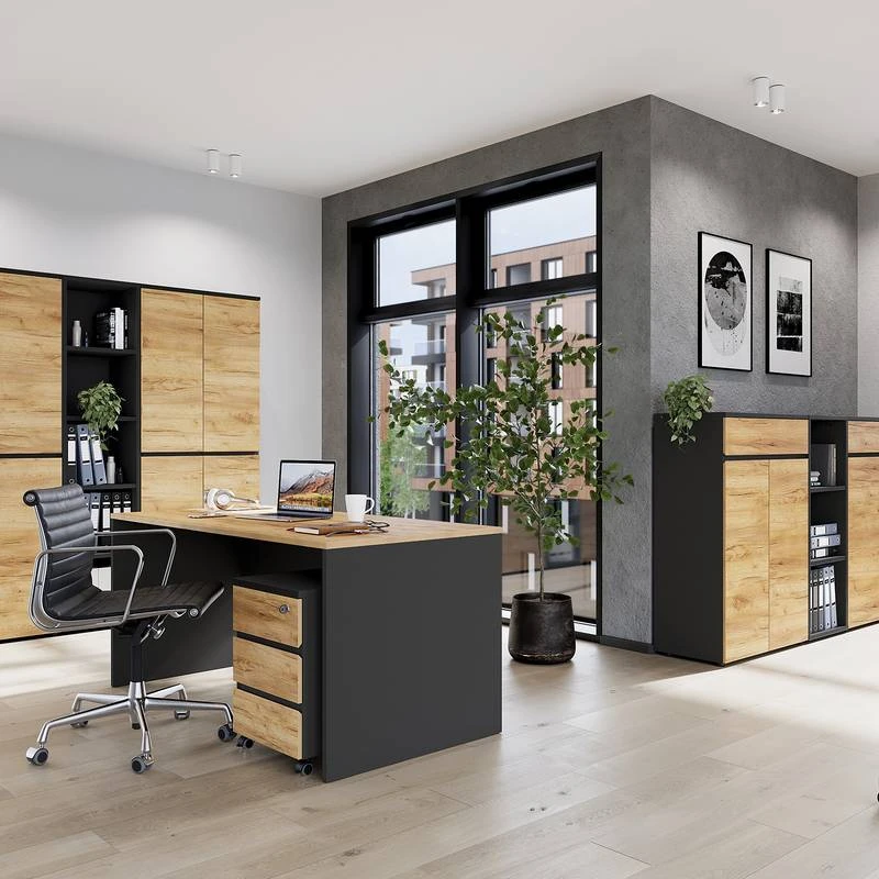 Armoire De Bureau GW-Lisbonne II 5 Armoire De Bureau GW-Lisbonne II – Image 3