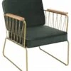 Fauteuil Velours Vert Foncé -Promos Meubles Boutique 14985c1860284713ad2081ef901c4470.cropped 96 47 695 823.processed