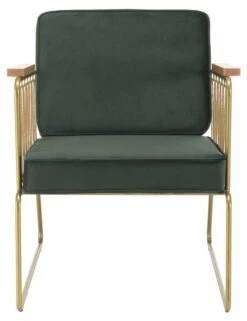 Fauteuil Velours Vert Foncé -Promos Meubles Boutique 892b70ad7a594b42a2509db99c7b8c8e.cropped 161 91 578 751.processed