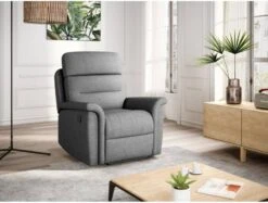 Fauteuil De Relaxation LÉON 21 Fauteuil De Relaxation LÉON -Promos Meubles Boutique d698d1a4ff6541ef9f9c56eb0444fd41